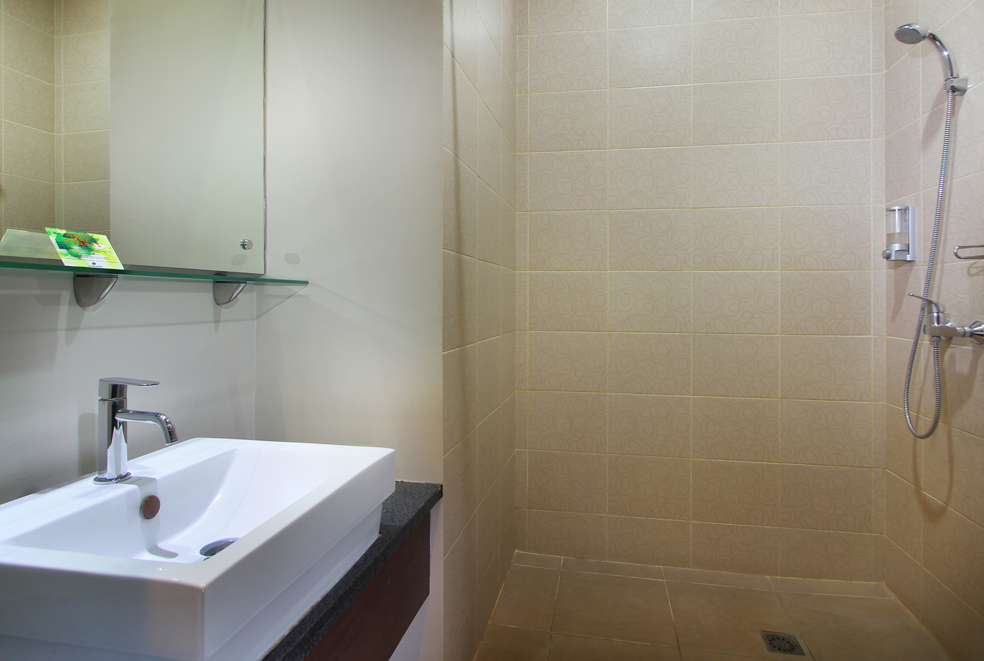 Walk-in shower in the Deluxe Double
